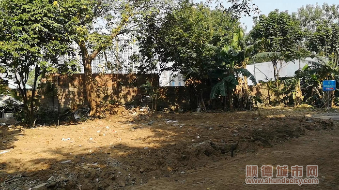 均安陽光小區閑置地未改造前是一塊荒地。.png