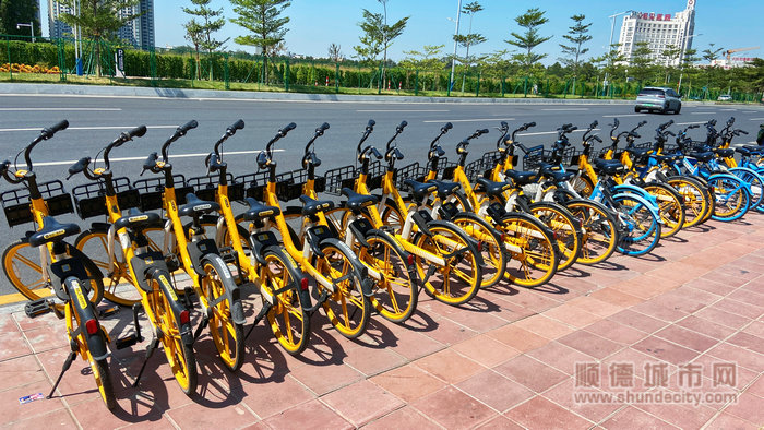 南方醫科大學順德醫院路共享自行車規范停放區域 .JPG