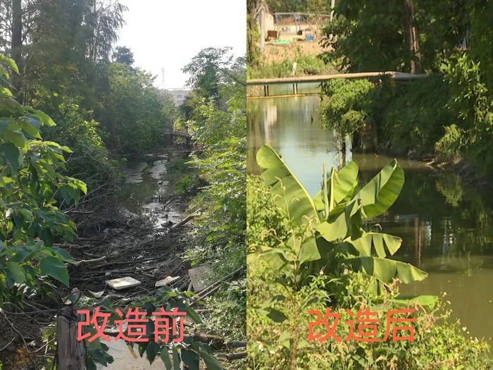 沙埔村改造前后對比圖。.jpg