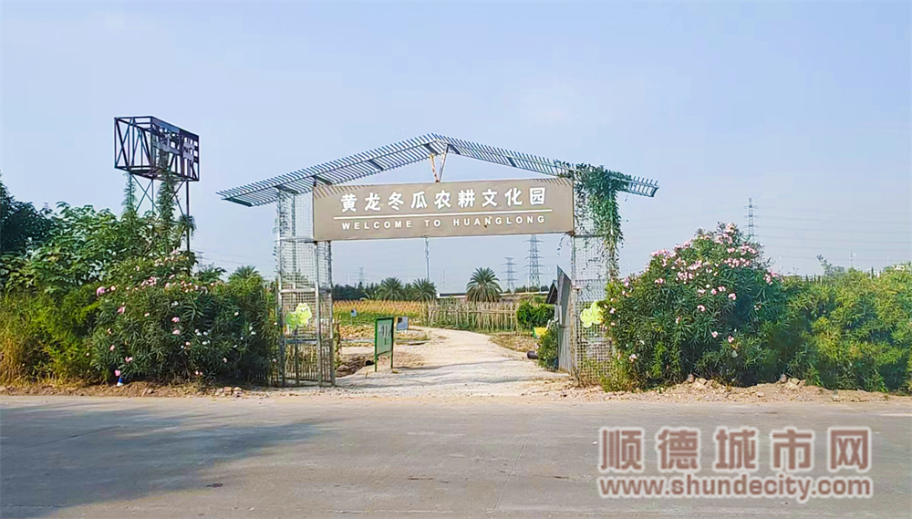 冬瓜文化種植園.jpg