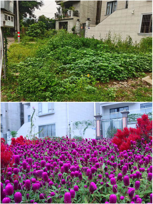 上直球場邊四小園建設.jpg