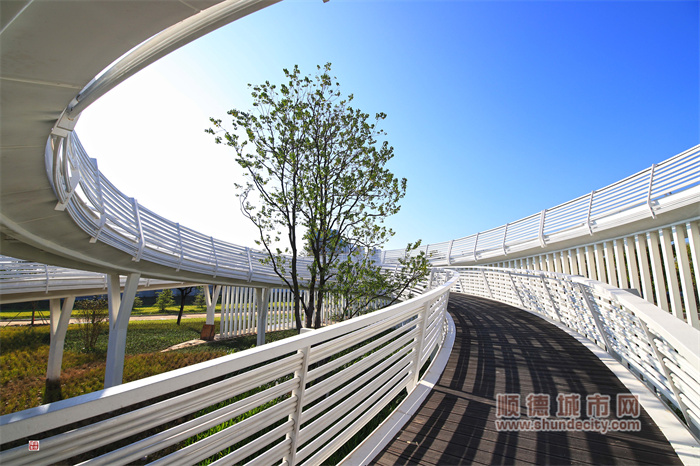 12.8 倫教濱水公園 觀景臺 輝哥1.jpg