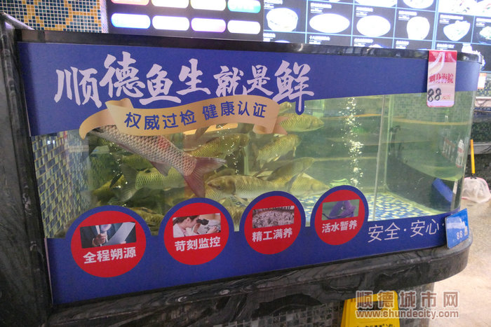 新鮮的食材。.jpg