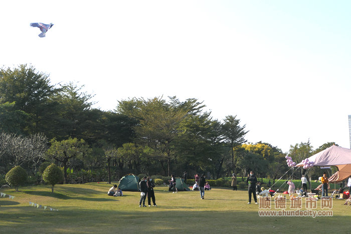 忙趁東風放紙鳶。.jpg