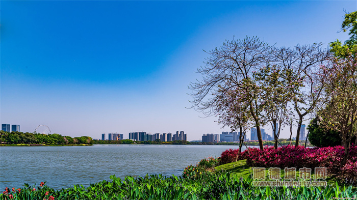 順峰山公園一角 馬彥良.jpg