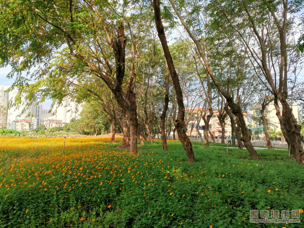 美岸示范項目成市民打卡點。.jpg