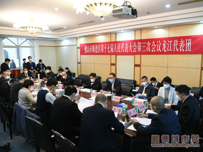龍江代表團(tuán)展開討論。.jpg