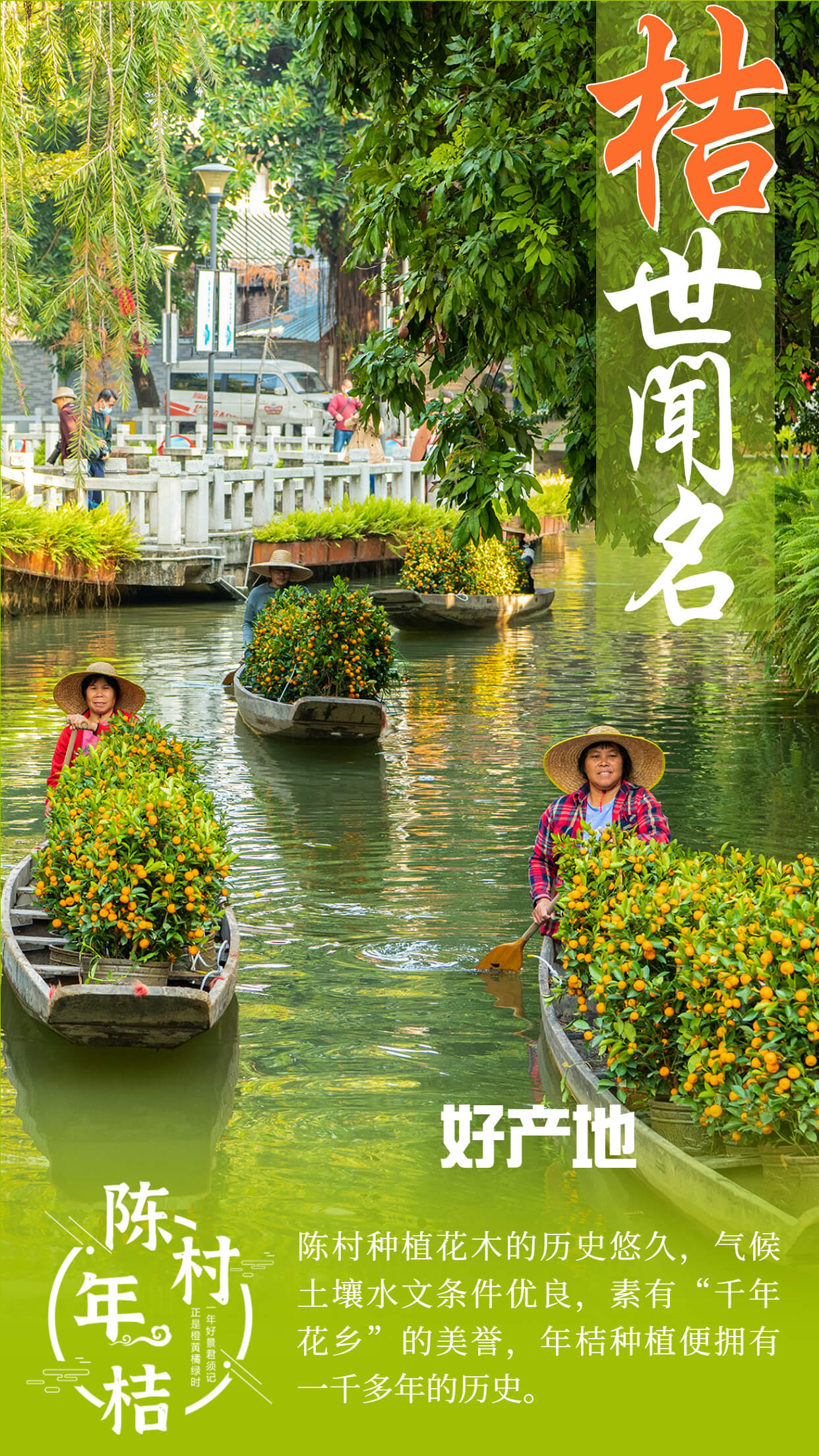 好產地（圖：歐陽健洪）.jpg