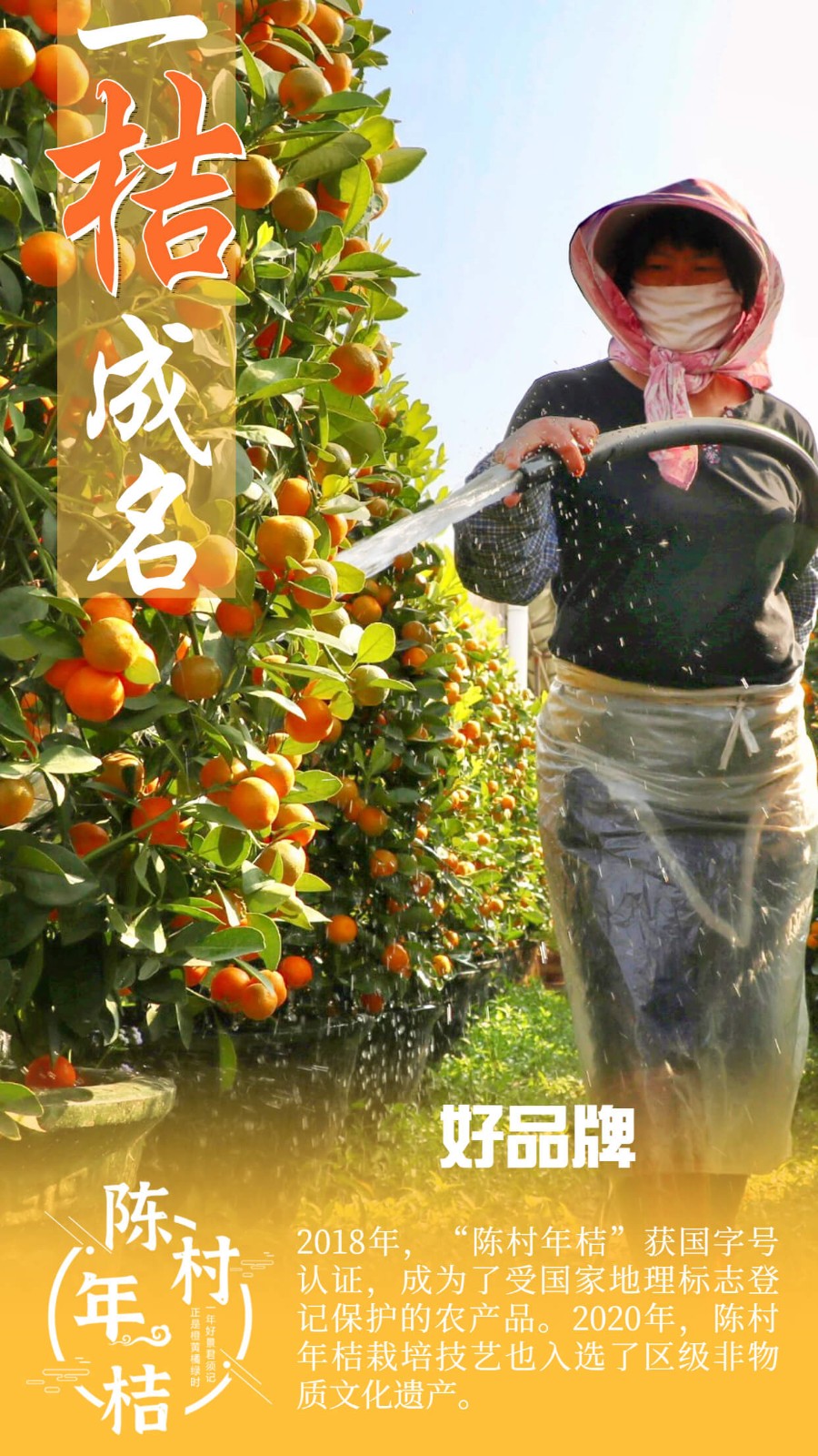 好品牌（圖：順德城市網攝影俱樂部“陽光與鹿”）.jpg