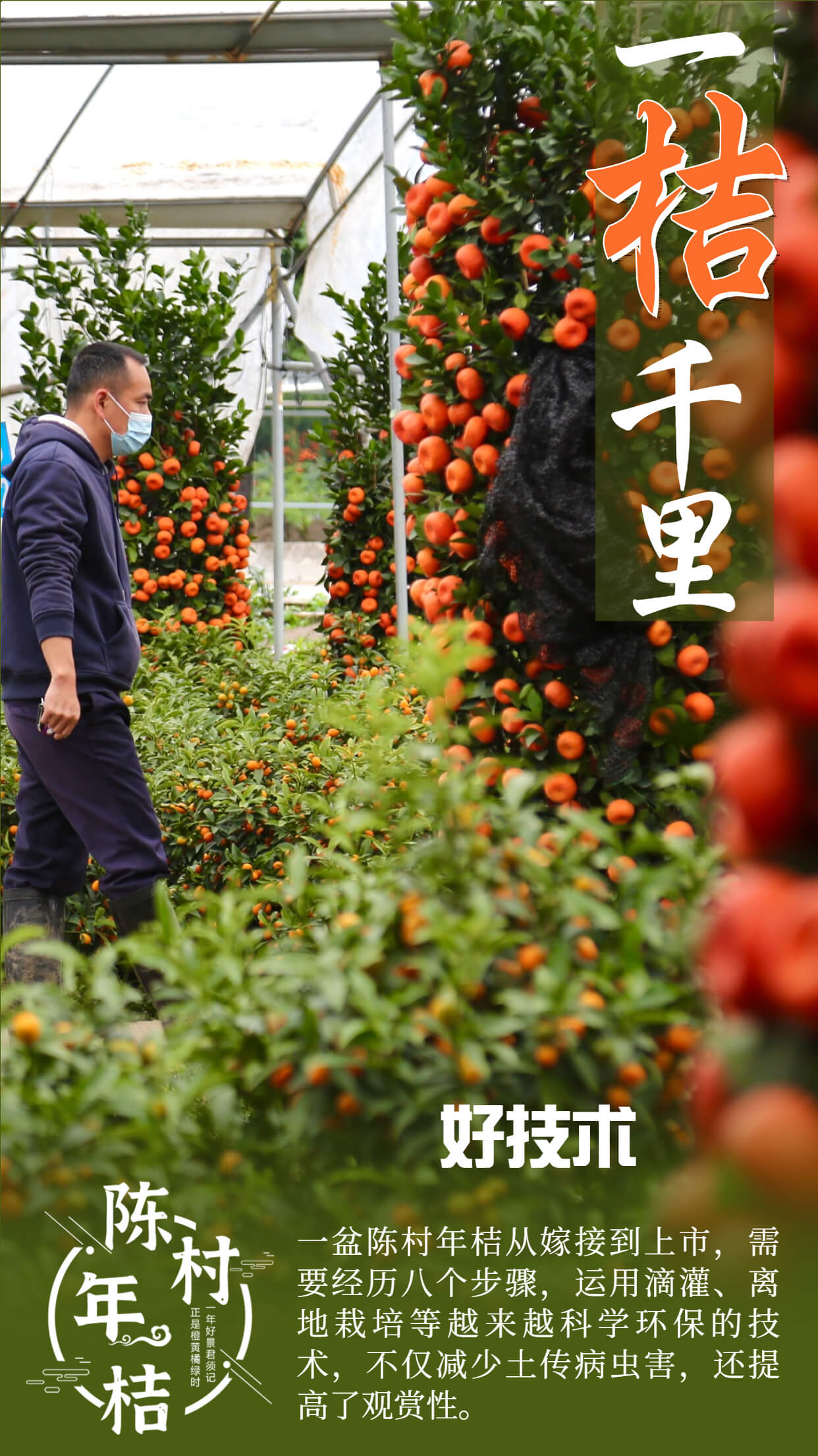 好技術（圖：順德城市網攝影俱樂部“sxz”）.jpg