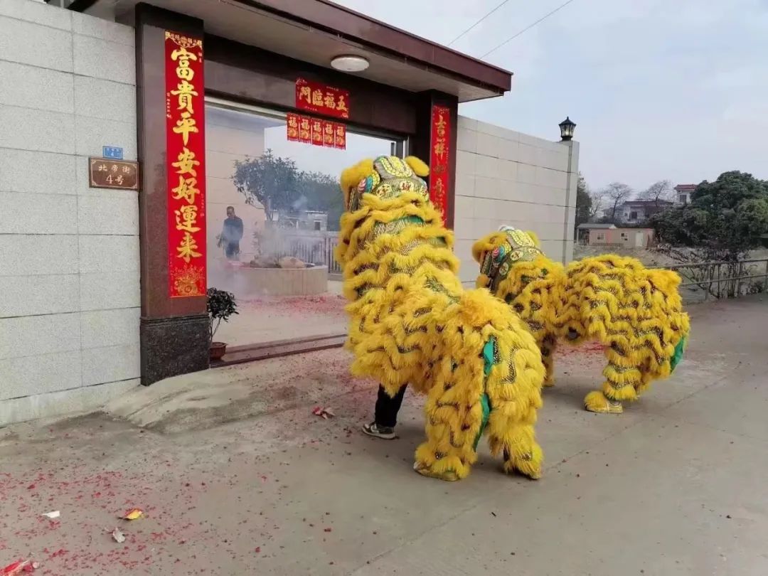 醒獅活動隆冬強。6.jpg