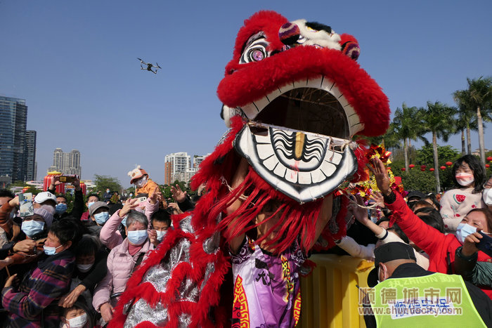 市民、游客來到順峰山公園觀看舞獅表演。.jpg
