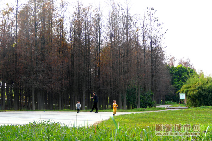 鯉魚沙公園。.jpg