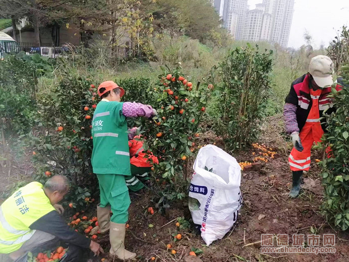 微信圖片_20230212163814_副本.jpg