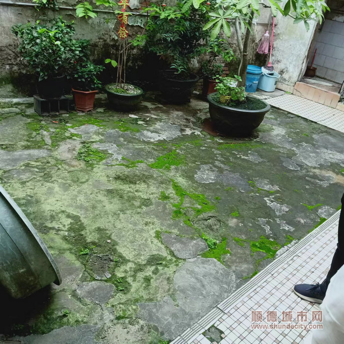 曾經嫻姨家中，地面磚塊脫落長出青苔。.jpg