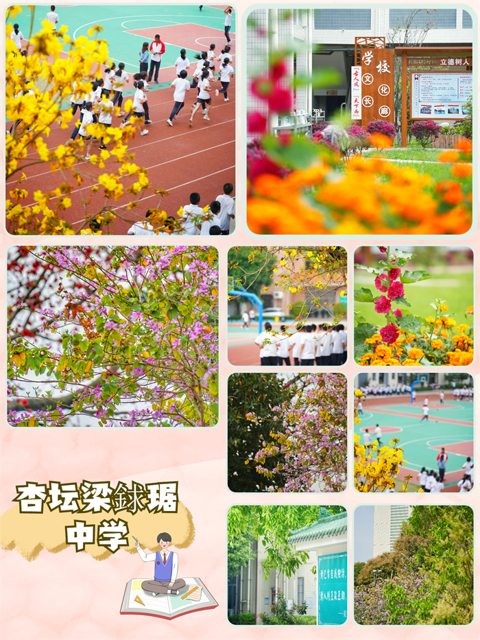 杏壇梁銶琚中學.jpg