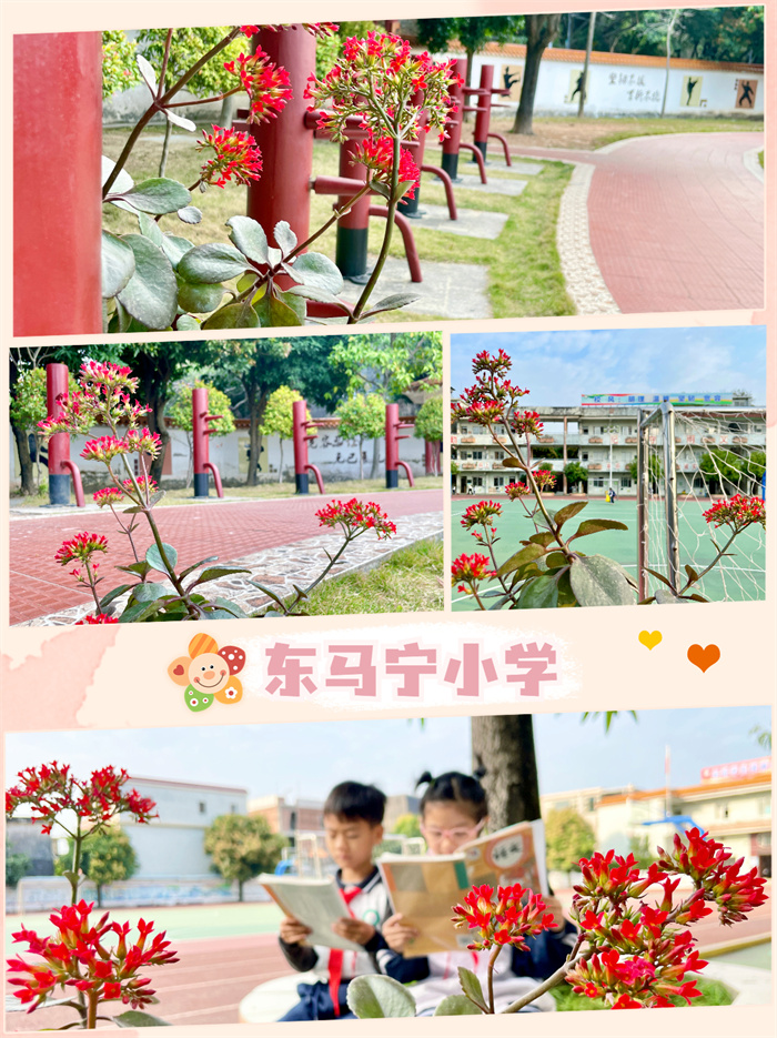 東馬寧小學.jpg