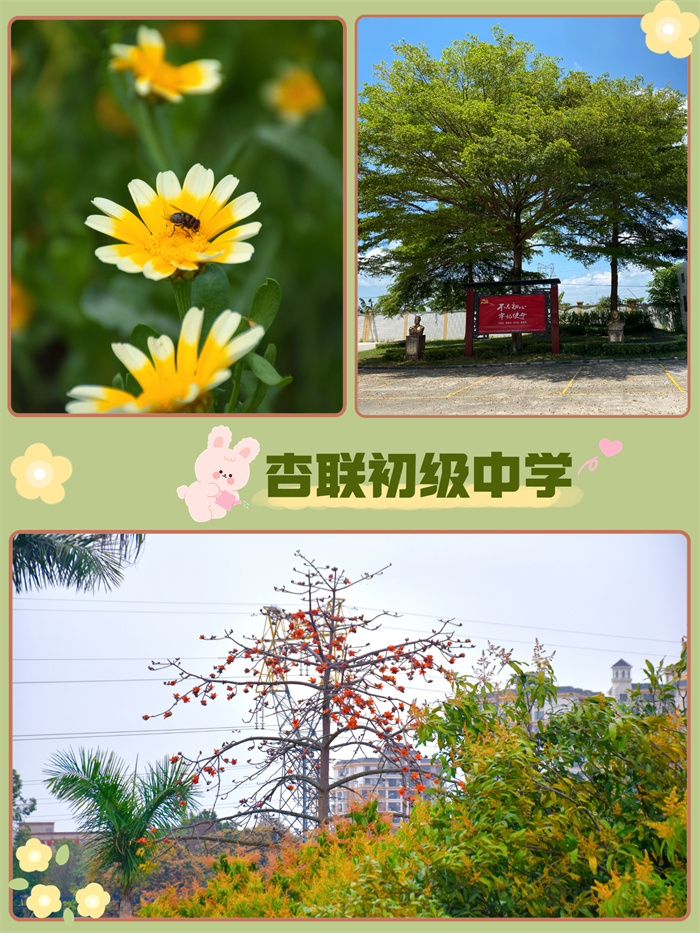杏聯初級中學.jpg
