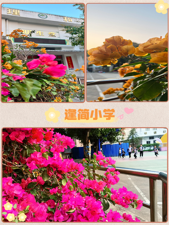 逢簡小學.jpg