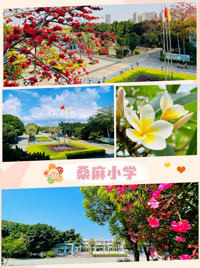 桑麻小學.jpg
