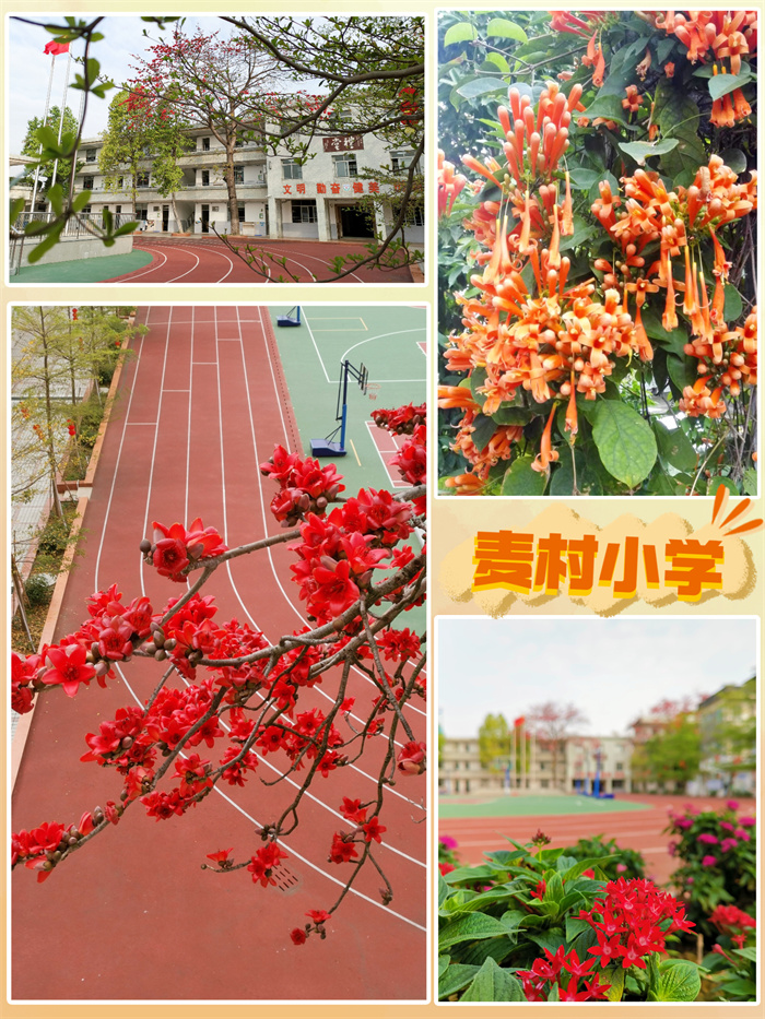麥村小學.jpg