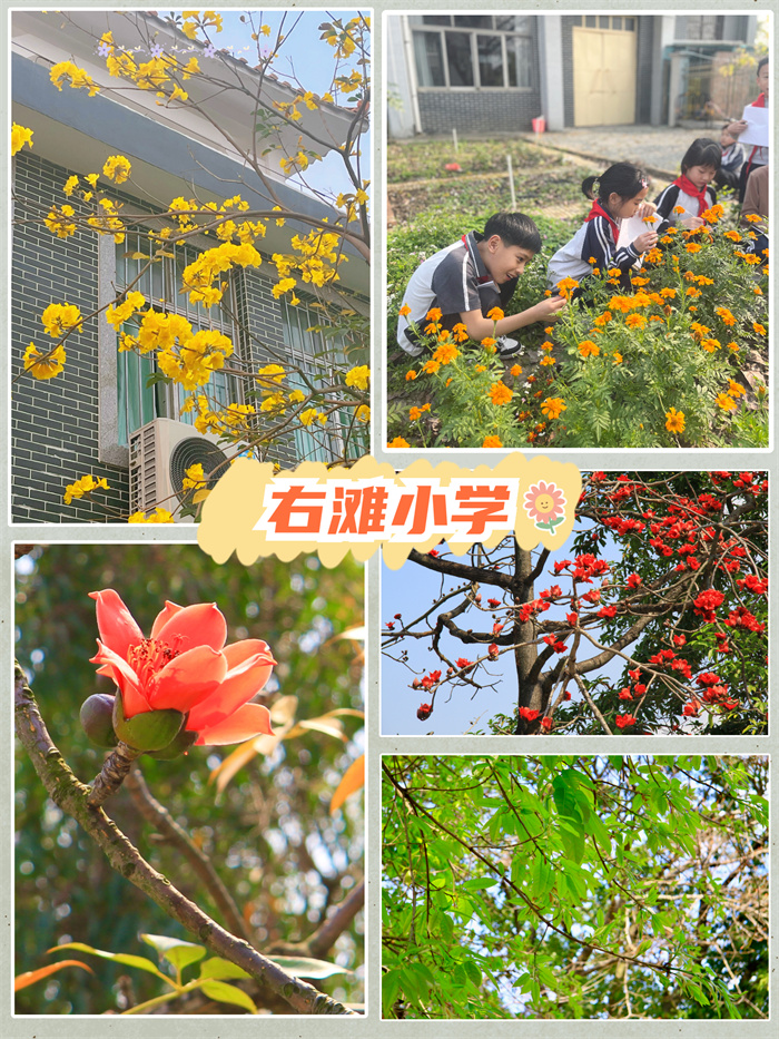 右灘小學.jpg