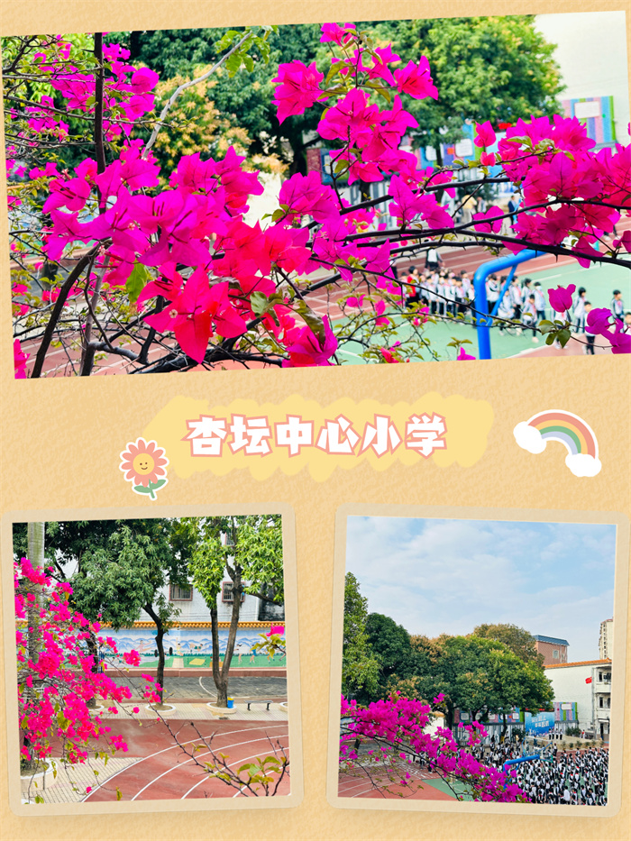 杏壇中心小學.jpg