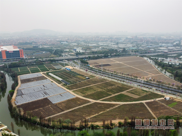 項(xiàng)目地塊總覽圖。.png