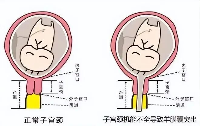 微信圖片_20230320102103.png