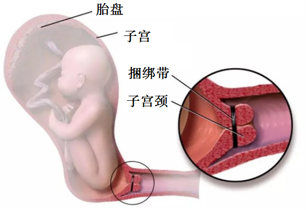 微信圖片_20230320102035.png