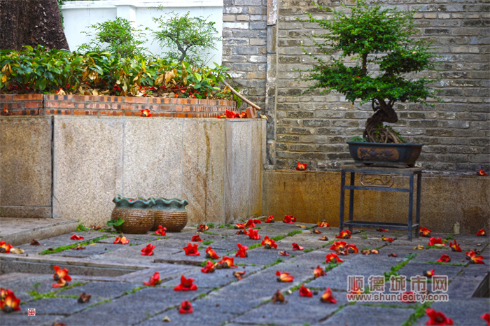 20230318 花開花落木棉花 輝哥.jpg