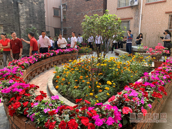 花香滿園的“四小園”。.jpg