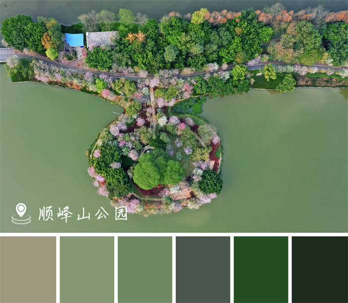 陽光與鹿.jpg