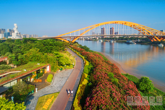 風(fēng)光旖旎的佛山新城濱河景觀帶。.jpg