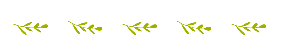 春天夏天節氣動態分割線.gif