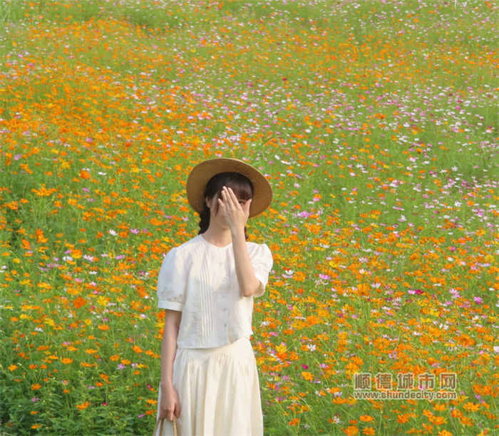 20230424 烏洲水閘 花 老牛9.jpg