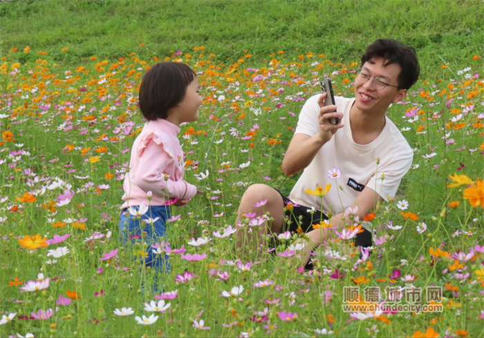 20230424 烏洲水閘 花 老牛.jpg