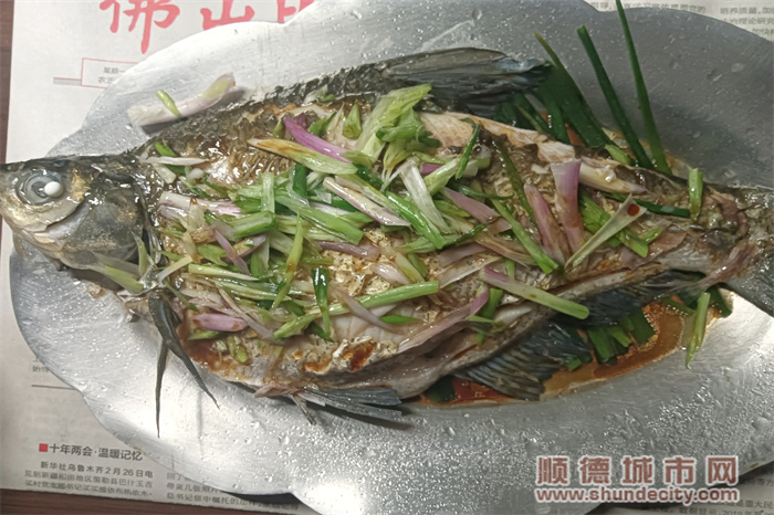 魚 (1).jpg