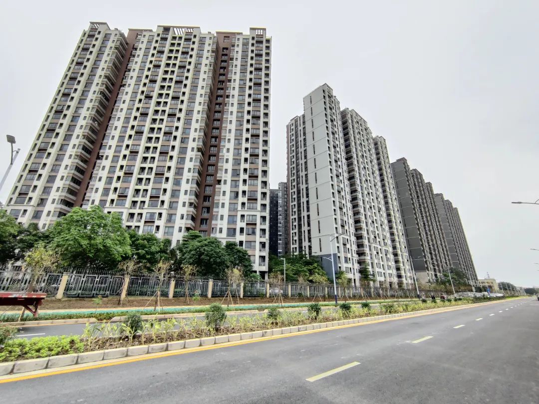 “斷頭路”拜拜！倫教水廠路建成通車，惠及多個小區！