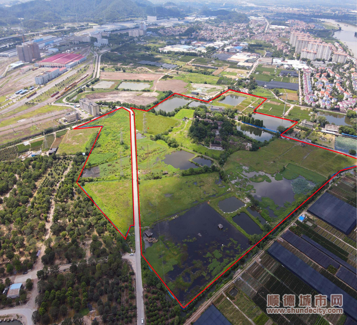 北滘三桂村碧桂園東側(cè)地塊。.png