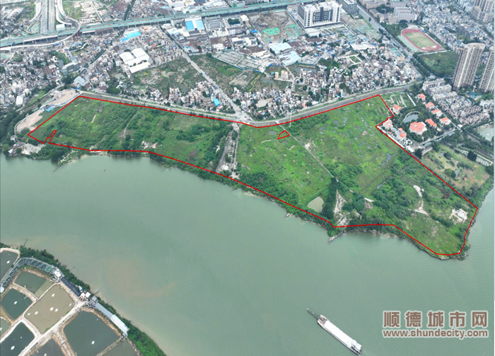 容桂龍涌口地塊。.png