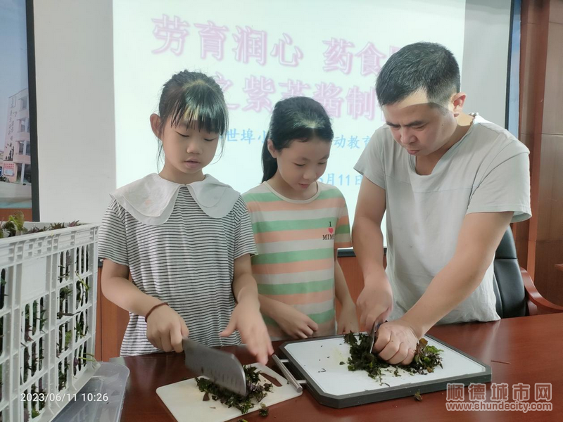 剁切紫蘇葉.png
