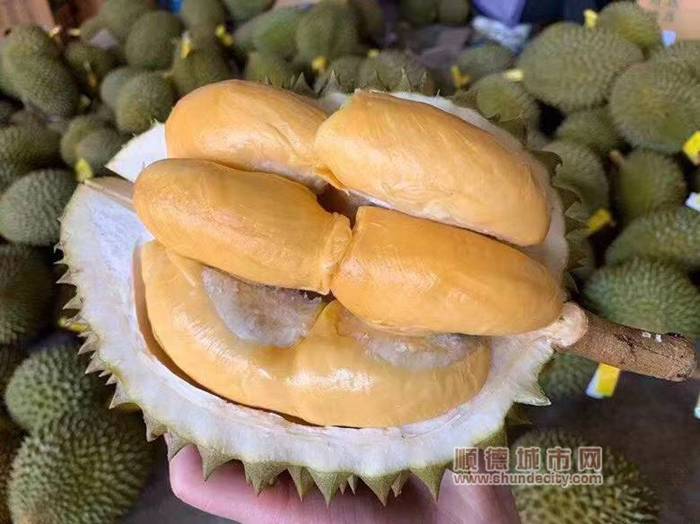 圖片11_副本.png