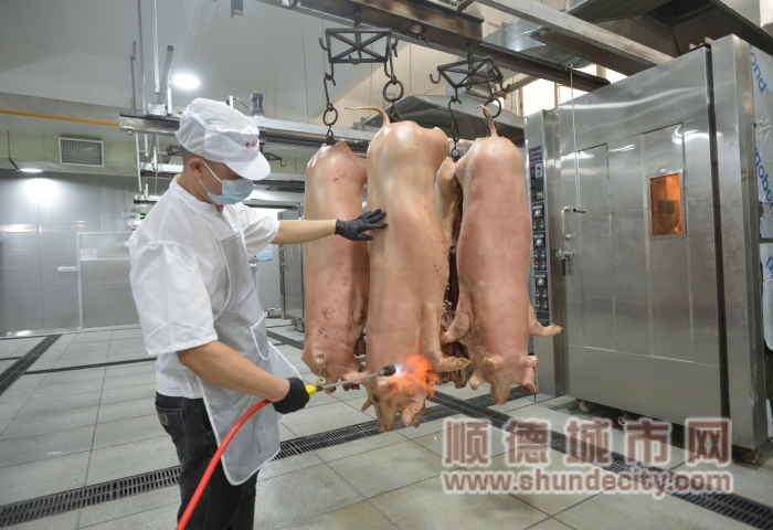 均安第一家燒豬生產企業獲批投產。（攝影：甘培田）_副本.jpg