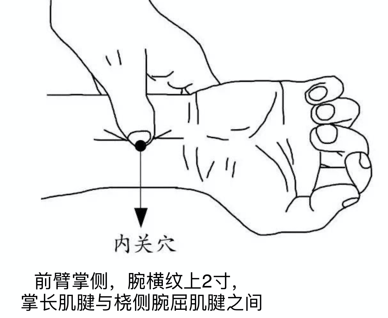 引火歸元貼1.png