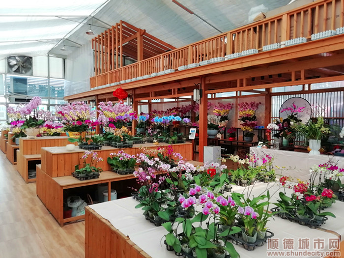 花卉世界（ljw發仔）.jpg