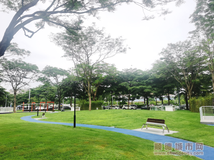 整改煥新的財富中心街心公園已經成為周邊企業員工休閑的優選。2.png