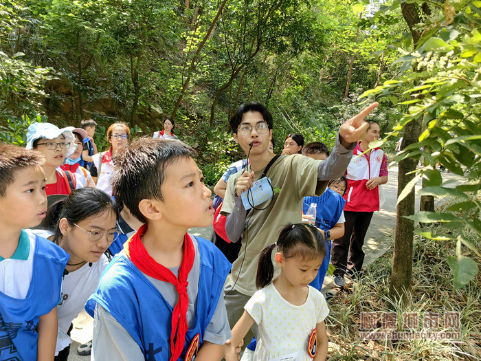 志愿巡林隊伍現場觀察森林防火等情況.jpg