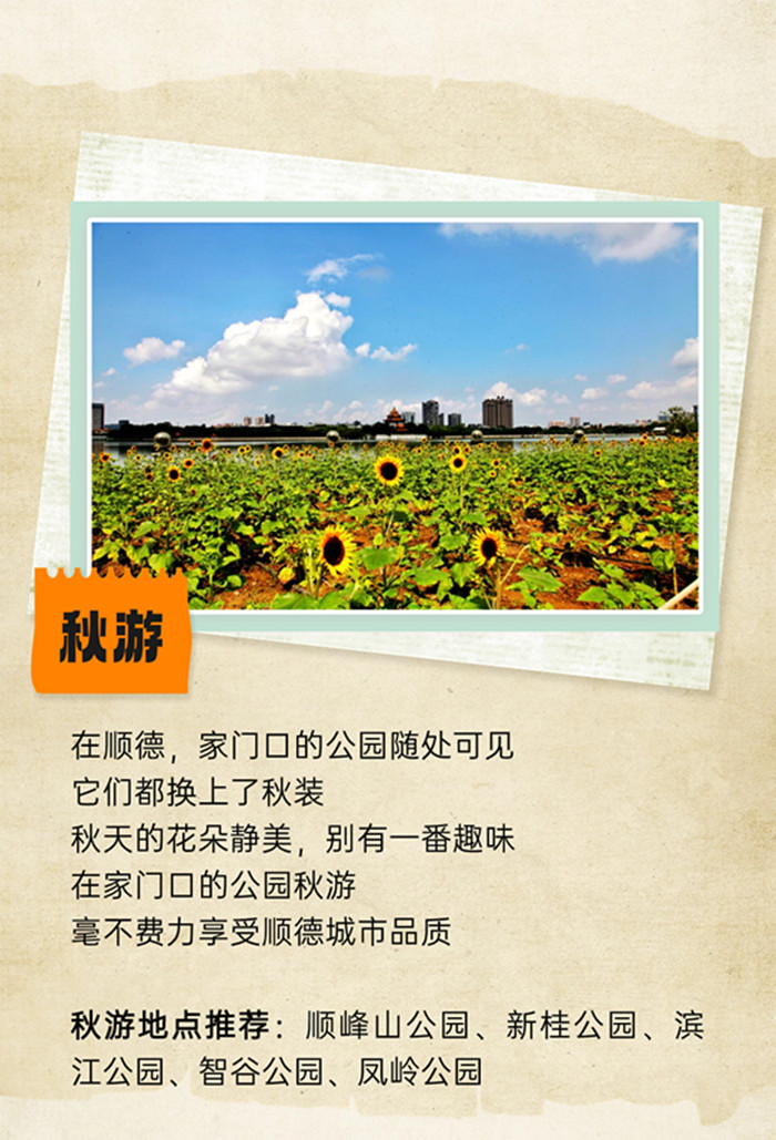 稿定設計-2.jpg