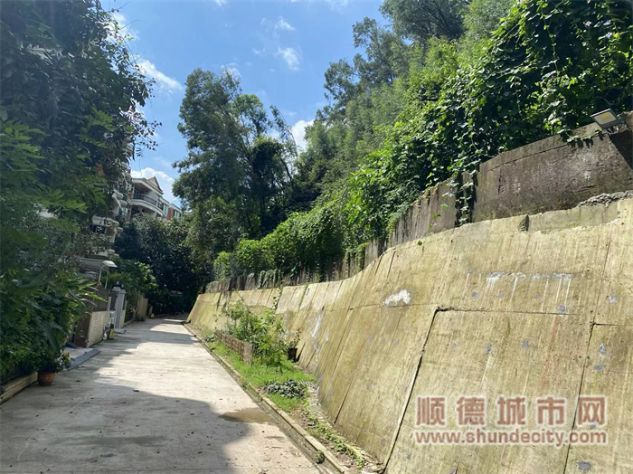 北滘鎮碧桂園敬子崗治理工程照片.jpg